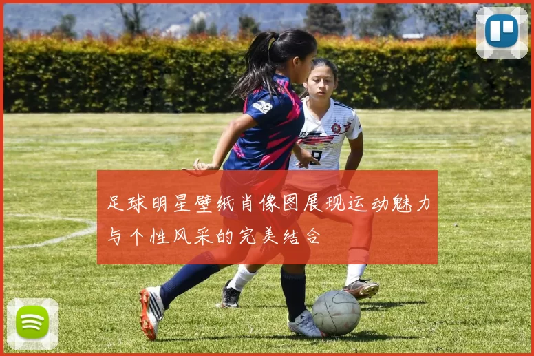 足球明星壁纸肖像图展现运动魅力与个性风采的完美结合