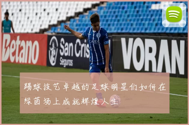 踢球技艺卓越的足球明星们如何在绿茵场上成就辉煌人生