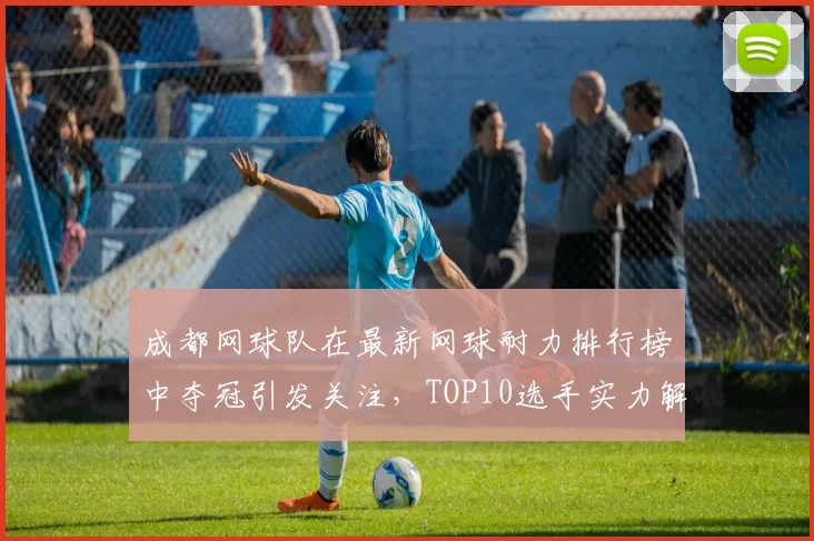 成都网球队在最新网球耐力排行榜中夺冠引发关注，TOP10选手实力解析