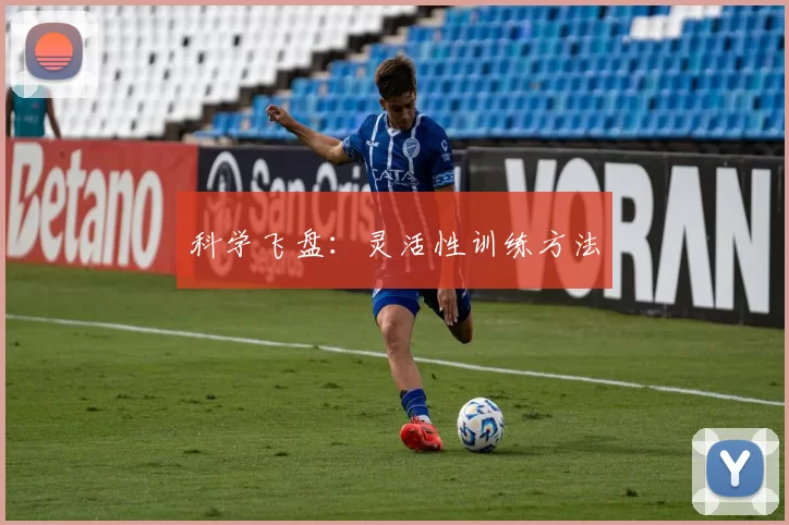 科学飞盘：灵活性训练方法